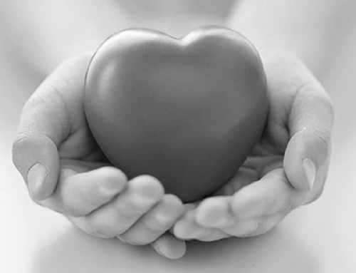 Guide Dogs Association South Africa